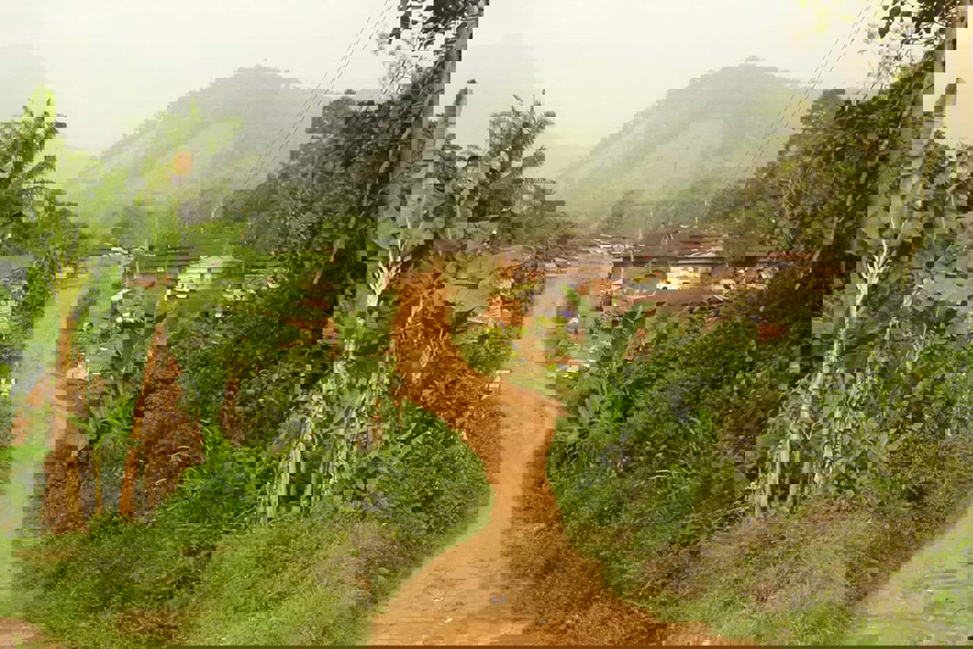 © Chiara Scandolara