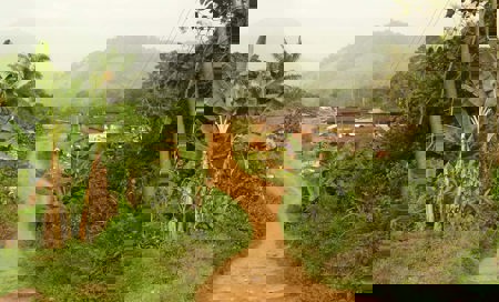 Flugziel «Swallow City»