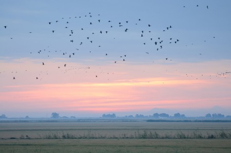 In Spaniens Paradies