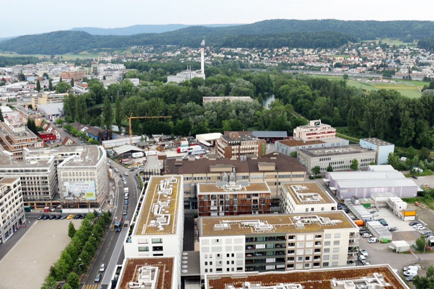 Schlechte Planung: Im Schutzgebiet in Dietikon ZH befinden sich Flachmoore von nationaler Bedeutung. Die Siedlung schliesst direkt an – ohne jegliche Pufferzone. © Thomas Pfann