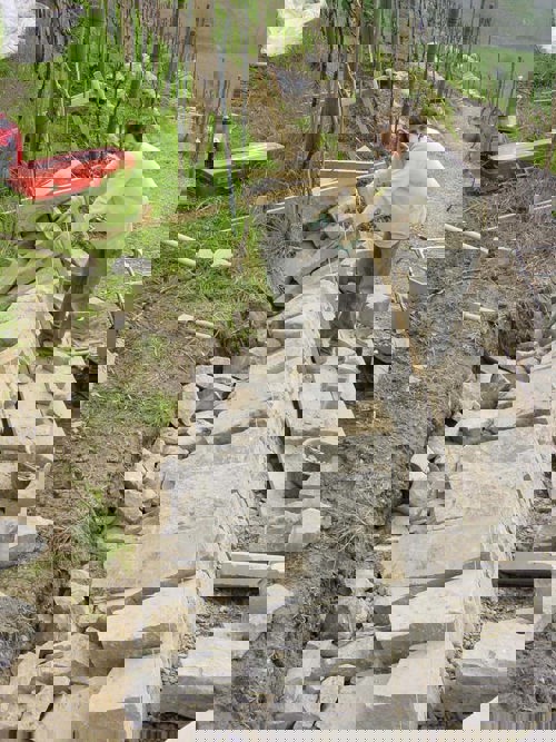 Reben Ambau Quadragmbh