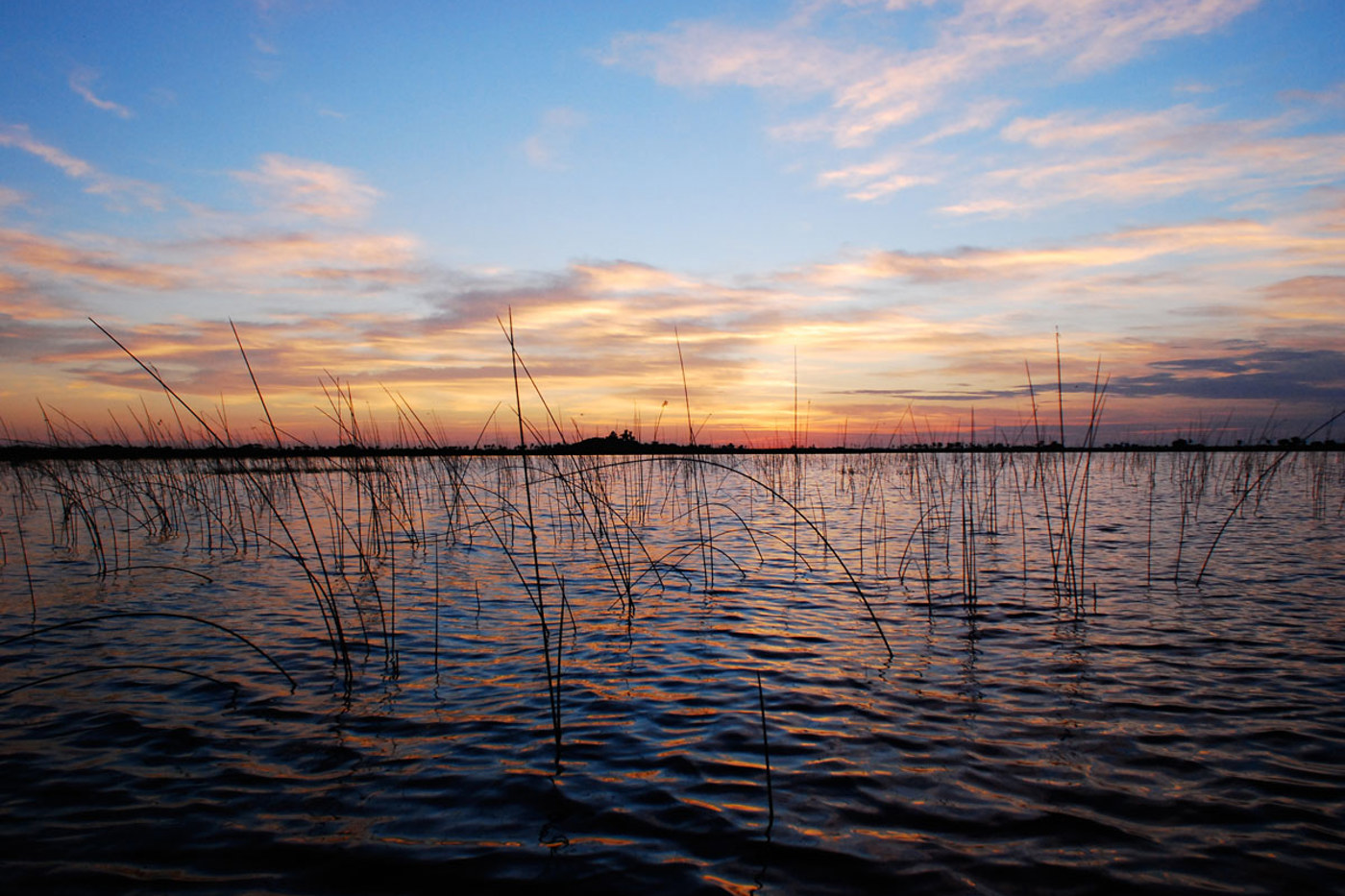 Flach und scheinbar unendlich: das Feuchtgebiet der Esteros del Iberá in Argentinien. © Peter Balwin