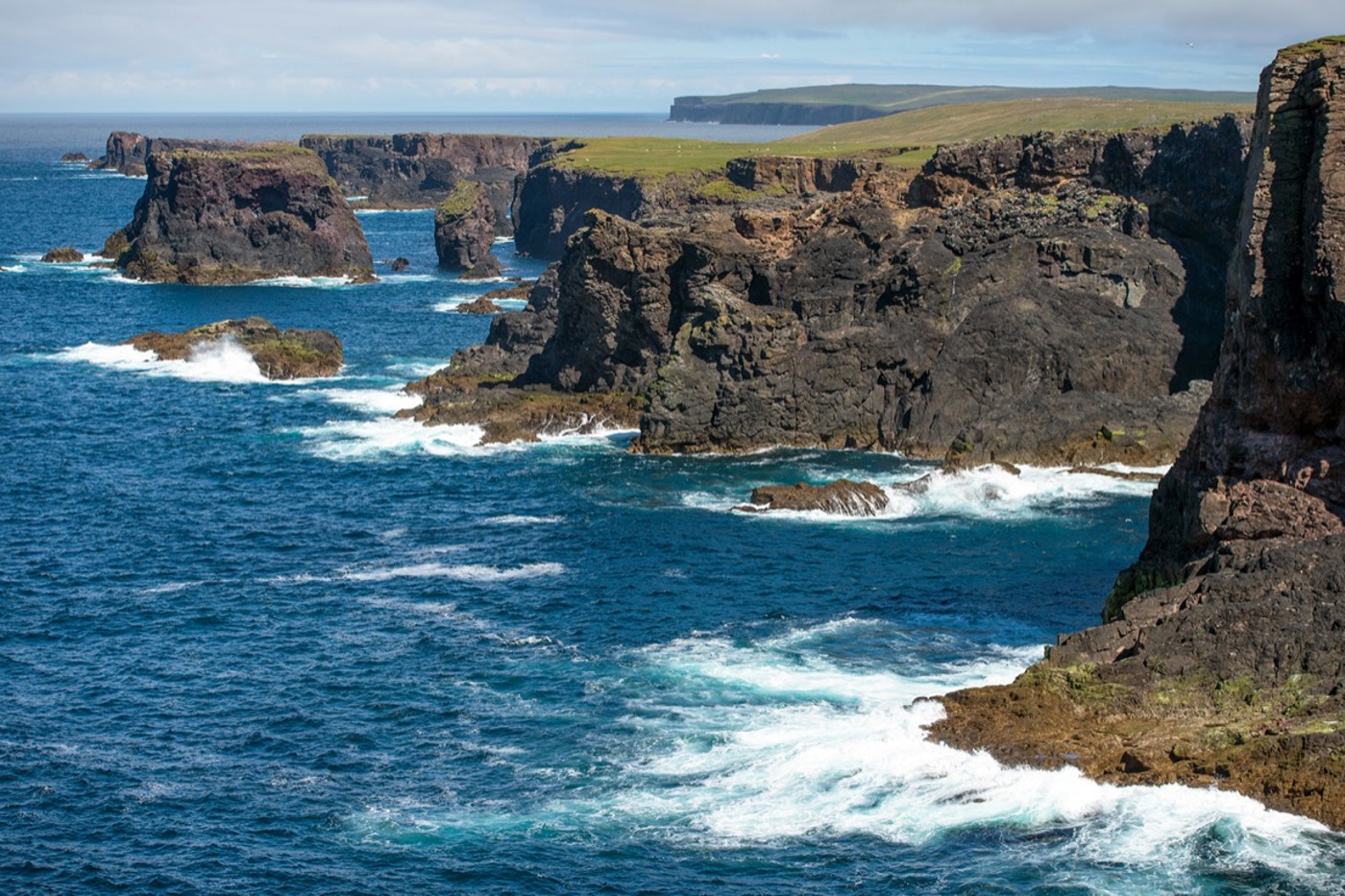 © Stefan Leimer (alle)