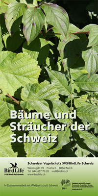 J Feldfuehrer Baeume Straeucher