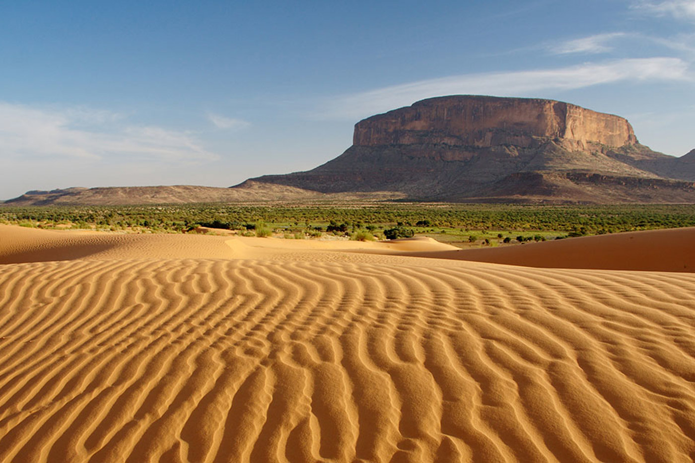 Am Nordrand des Sahels, wie hier im malischen Hombori kurz nach Ende der Regenzeit, treffen die Dünen der Sahara auf fruchtbare Grasebenen und Buschland. Der grüne Streifen in der Bildmitte ist eine parkartige Landschaft, geprägt von Akazien. Sie ist ein typisches Winterquartier für Langstreckenzieher aus Nord-, West- und Mitteleuropa. © Samuel Ehrenbold 