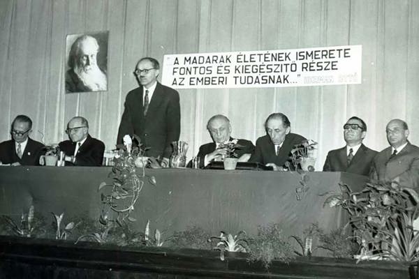 NA MME Alakuló Ülés Tribün 2 Eredeti