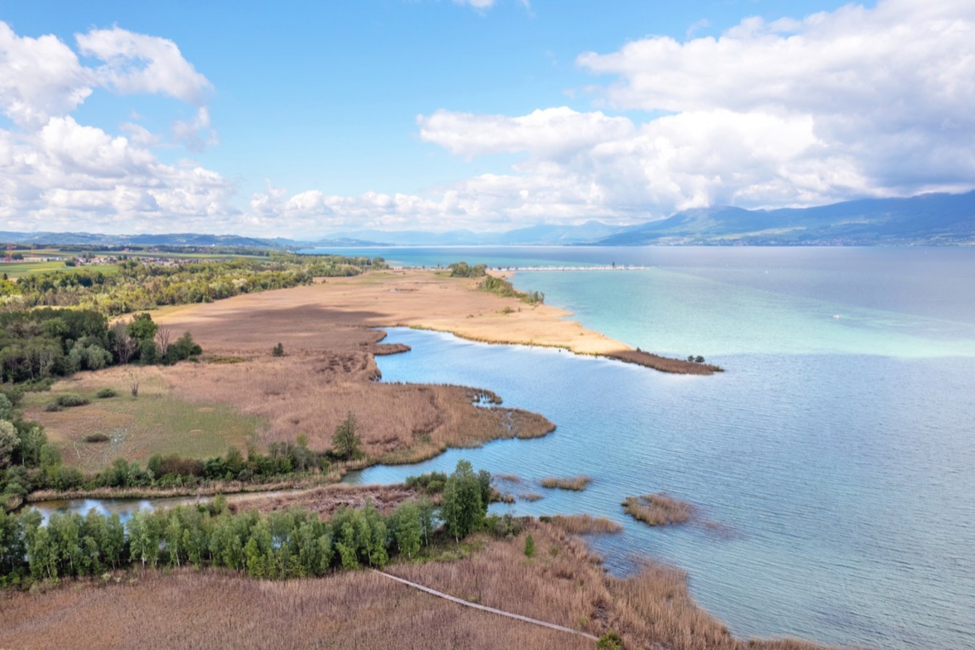 Die Grande Cariçaie bildet ein einzigartiges Mosaik aus nassen bis feuchten Lebensräumen. Das Flugbild zeigt den ausgedehnten Schilfgürtel und die angrenzenden Habitate der  Grèves d'Ostende bei Gletterens. © AGC/SWISS-FLY Boris Bron