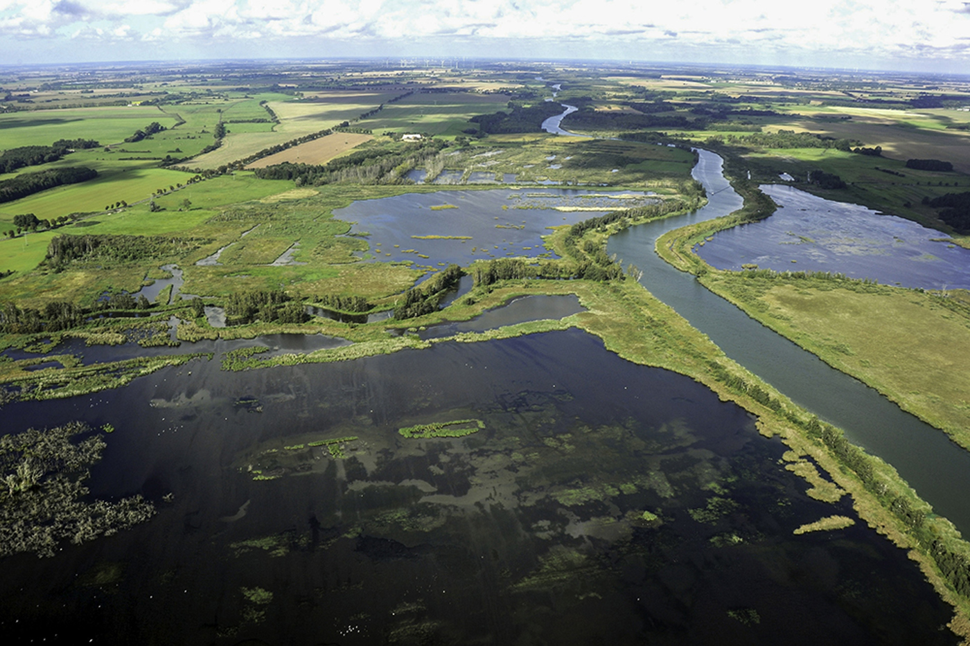 Das Peenetal gilt als das grösste zusammenhängende Niedermoorgebiet Mitteleuropas. © Adobe Stock