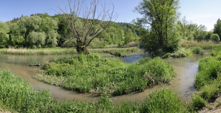 Ein Fluss kann wieder leben