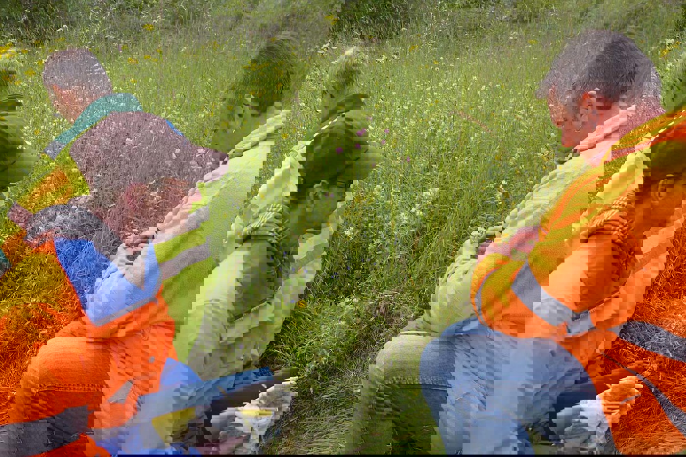 Die meisten Gemeinden haben nur wenig Geld zur Verfügung, um sich aktiv um die Biodiversität zu kümmern. © PUSCH/Ethan Oelmann