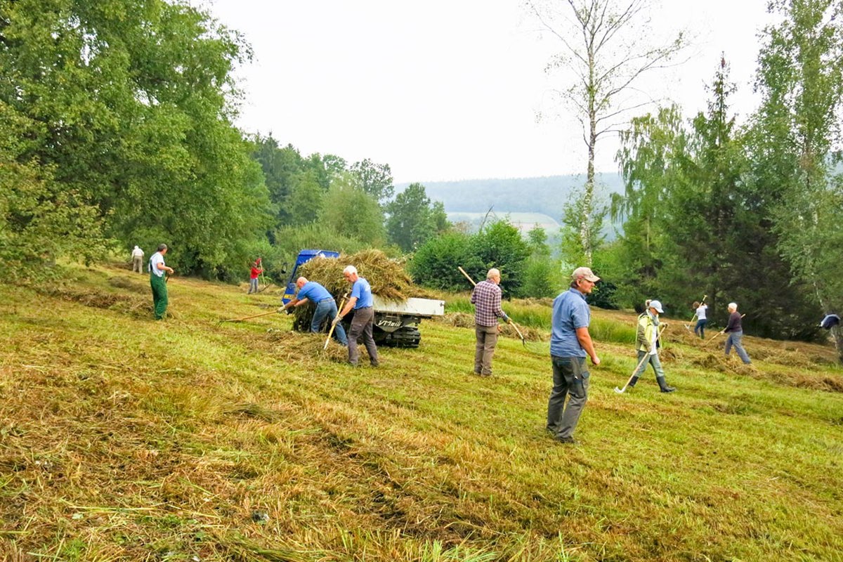 SP IMG 8042 Kopie Edit Kopie