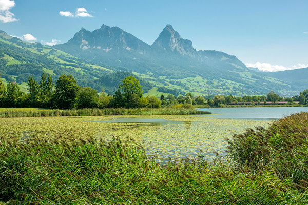 Mauritius Images M84M5M