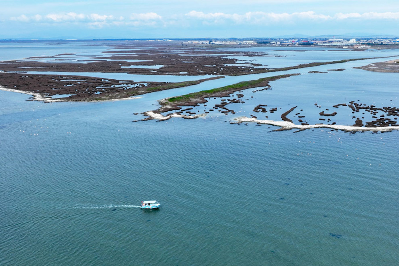 Im Gediz-Delta im Westen der Türkei ist die Wiederherstellung eines dynamischen Gezeitenökosystems geplant. © Doğa/BirdLife Türkei