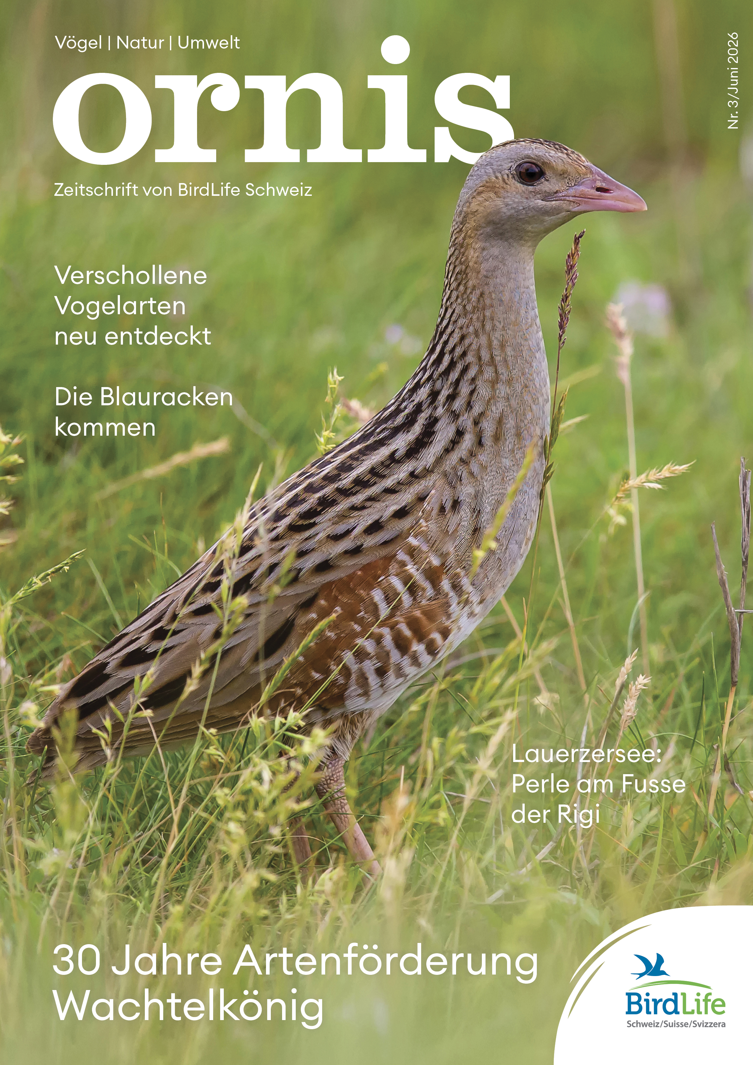 Orn3 01 Titel