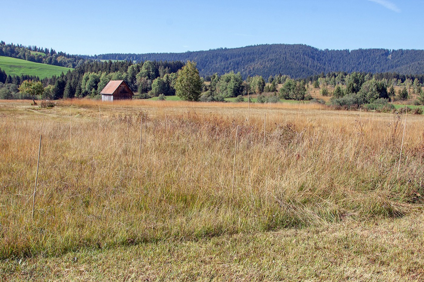 WB Sitzwarten 1 Andy