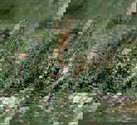 Wissen schafft Hoffnung