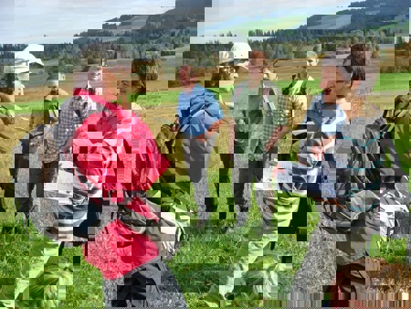 Viel Arbeit, wenig Geld