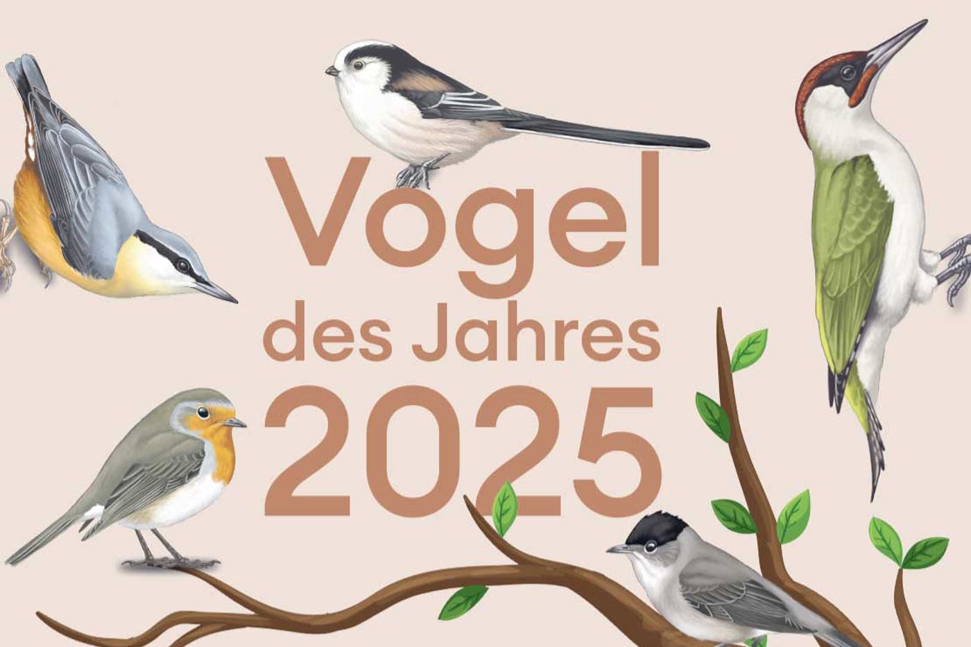 Wählen Sie Ihren Favoriten!