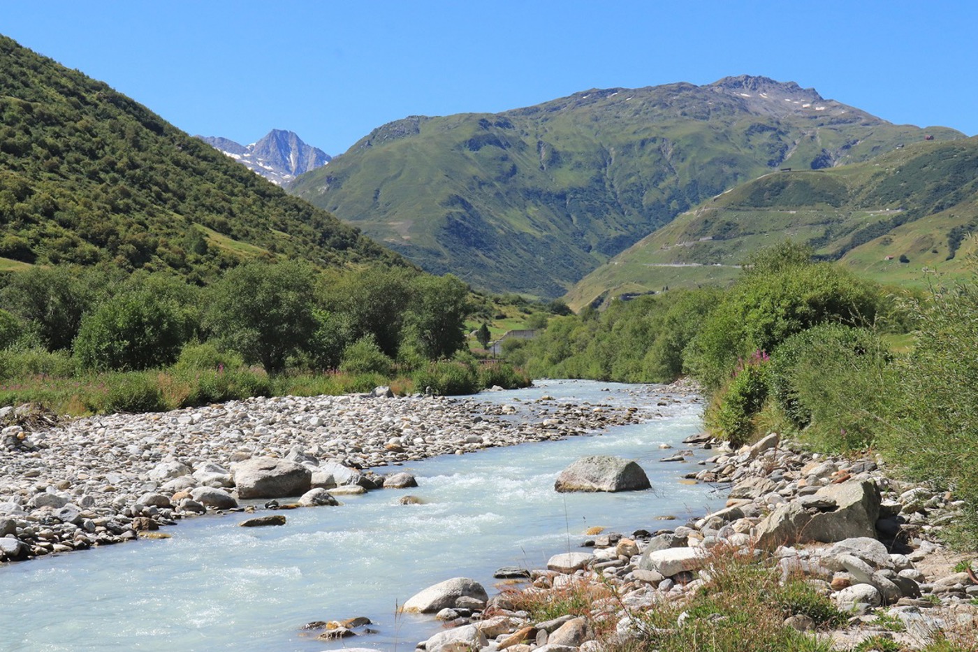 Die grösste Naturperle des Urserentals ist die Aue Widen. In der Aue von nationaler Bedeutung brütet u. a. der Flussuferläufer. © Michael Widmer