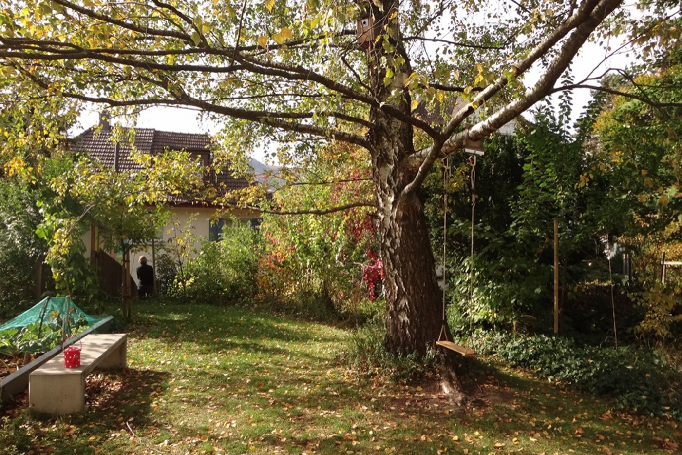 Der grosse Baum macht diesen Garten zu dem, was er ist – eine Oase in der Stadt. © BirdLife Schweiz (alle)