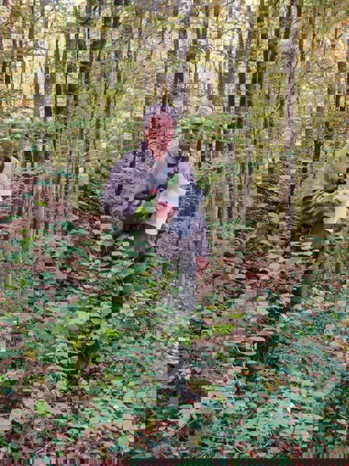 Schwarzspecht Foersterroth SVS