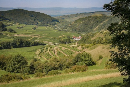 Kaiserliche Schönheit