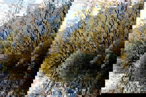 Biodiv Markusbolliger