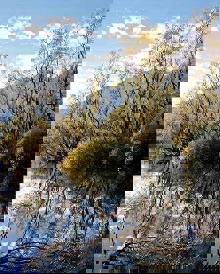 Neue Konzepte fällig