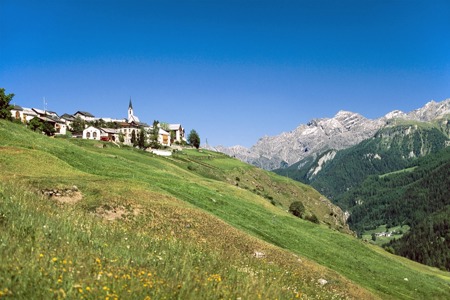 Ein Tal verliert seine Vögel