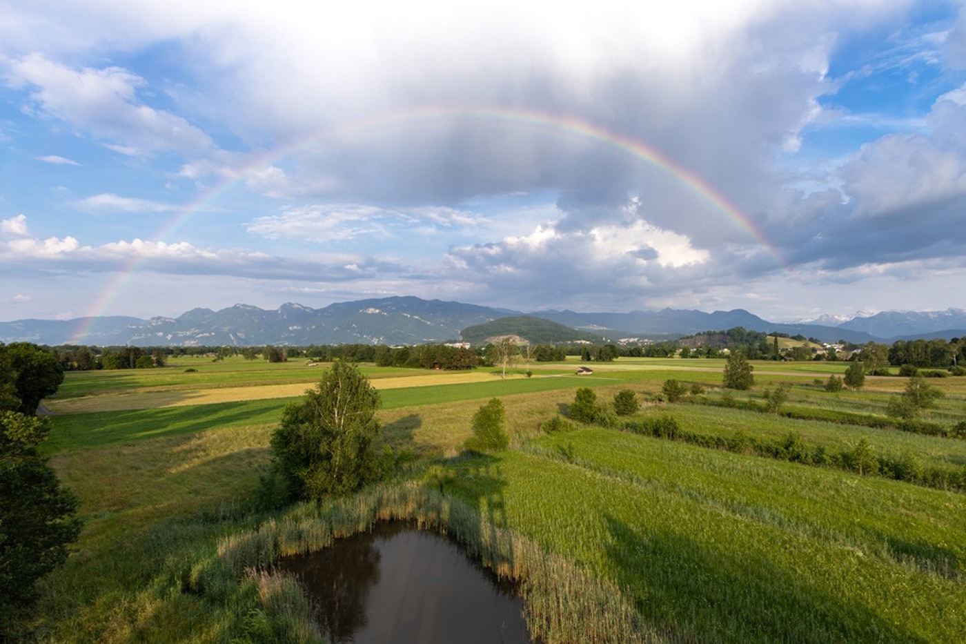 Blick vom Beobachtungsturm nahe der Schollenmühle über das ehemals grosse Rietgebiet zwischen Altstätten und Oberriet. © Verein Pro Riet Rheintal
