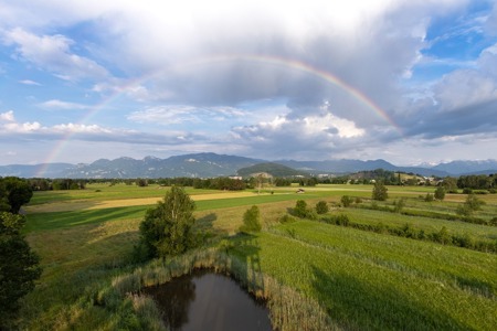 Ein halbes Jahrhundert SSVG