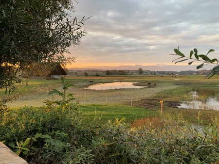 Entsumpft und wieder vernässt