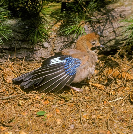 Geben und Nehmen in  der Natur