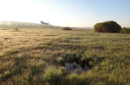 25 Boeings, elf Nachtigallen