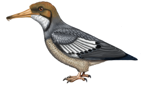 Vögel im Zeitalter der Dinosaurier