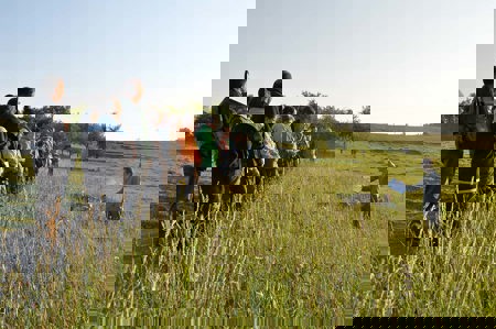 Mehr Biodiversität auf Knospe-Bauernhöfen