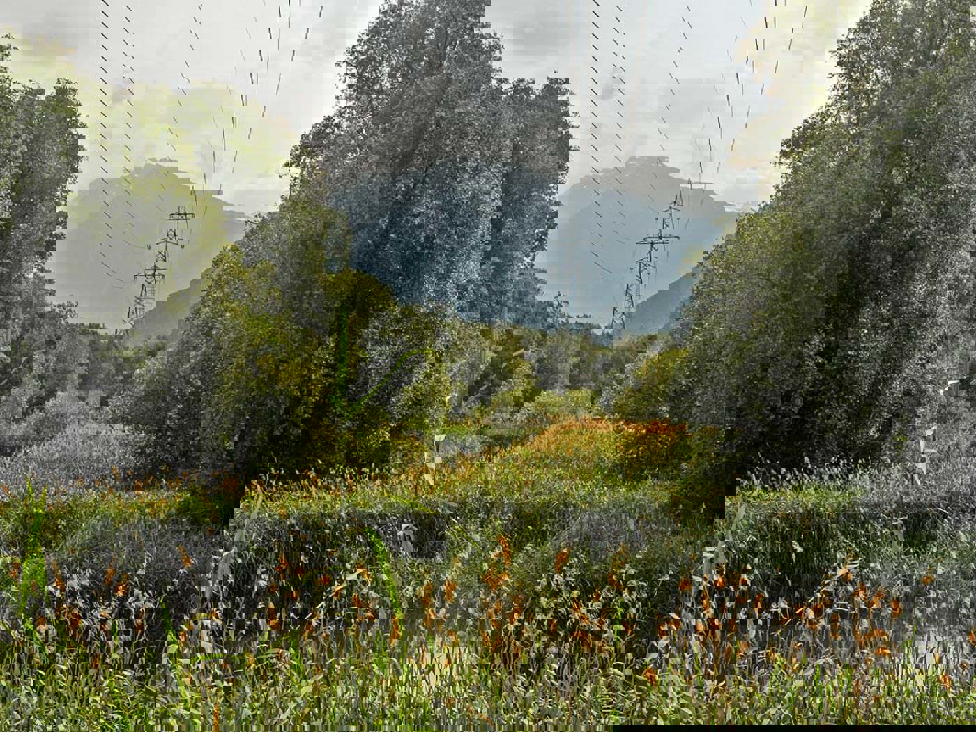 NVO Oberwallis Eyer Wyer Salzgeber 4