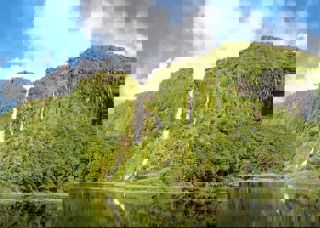 Vulkane, Vögel, verirrte Gäste