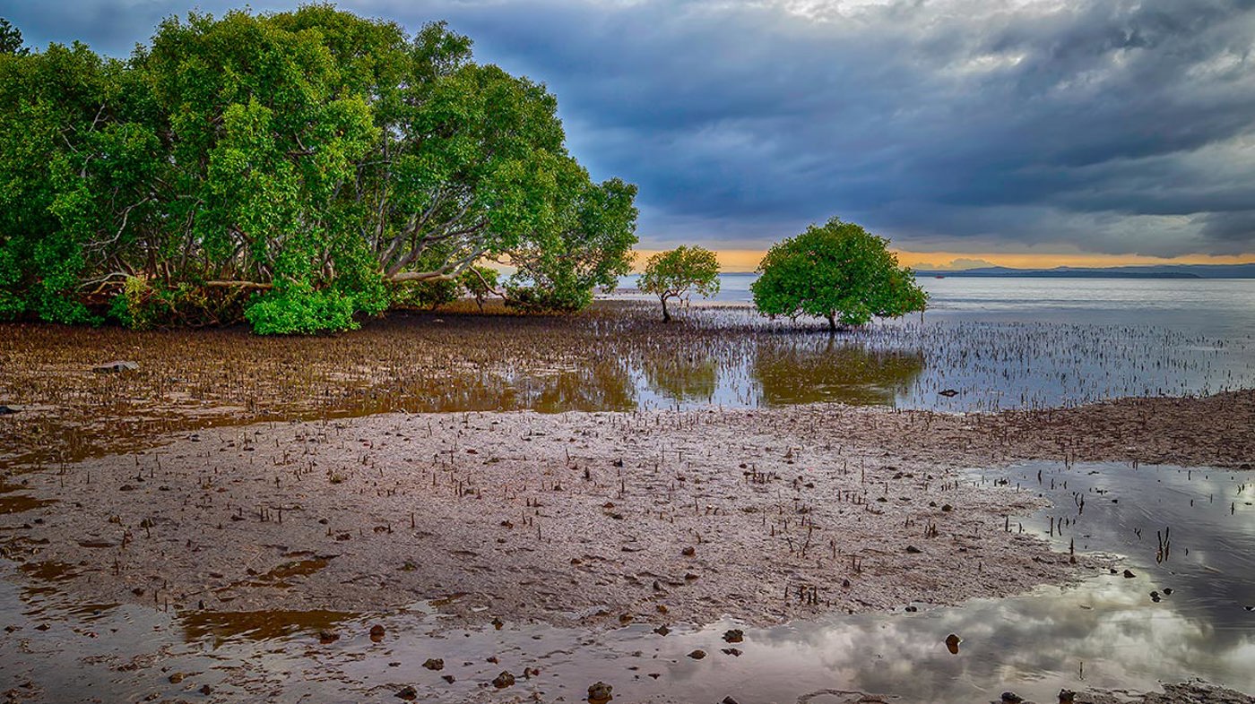 Toondah Sunrise By Judy Leitch