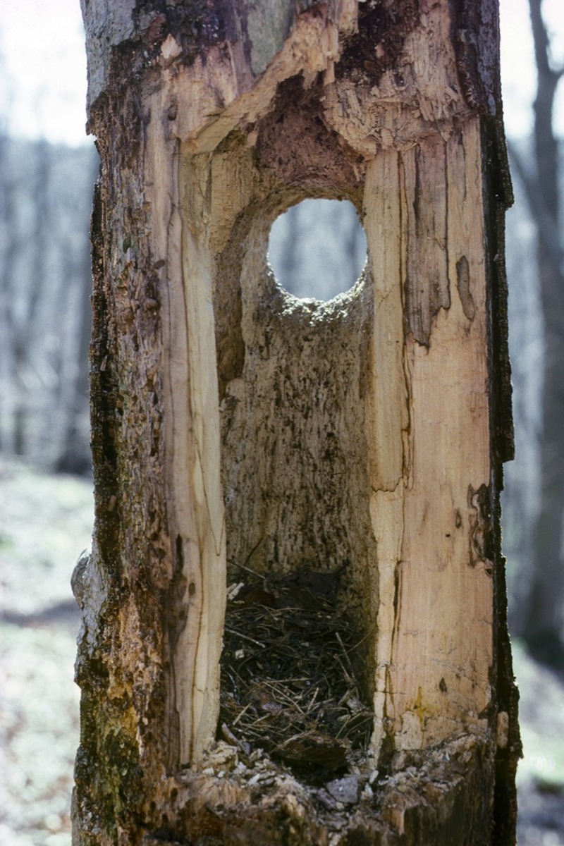 BU Hoehle Frankhecker