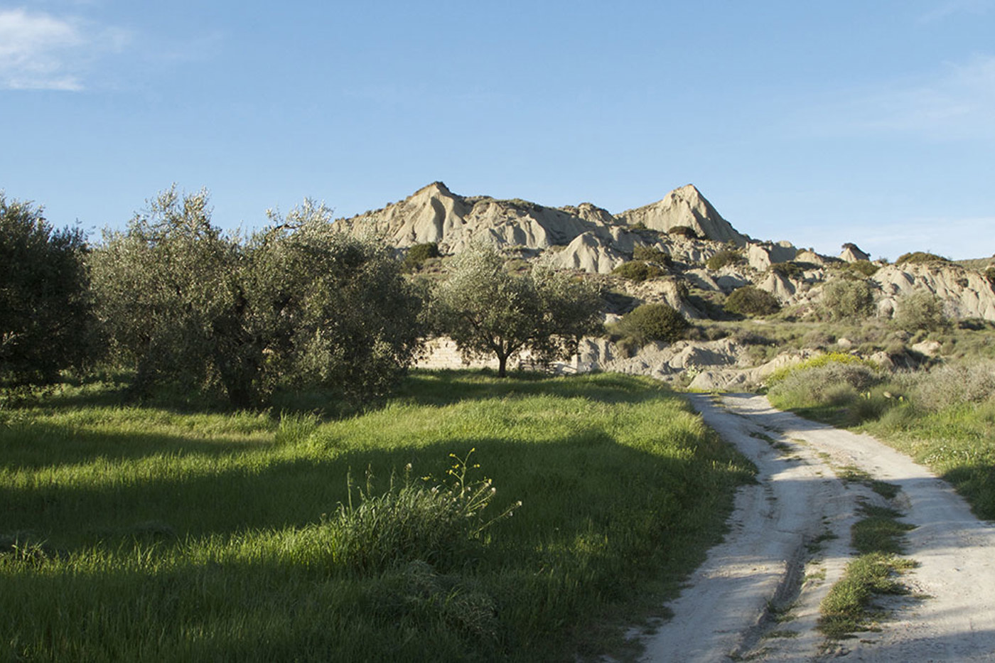 Die Calanchi della Basilicata erinnern an eine Mondlandschaft. © Hans Ueli Grütter