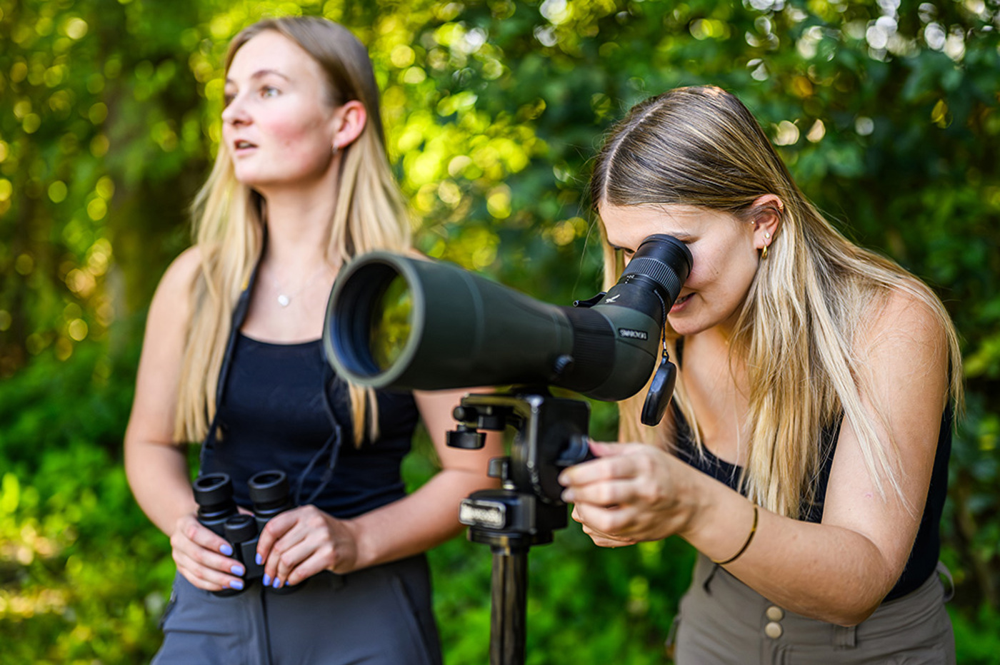 La Sauge Beobachten Nicolas Stettler
