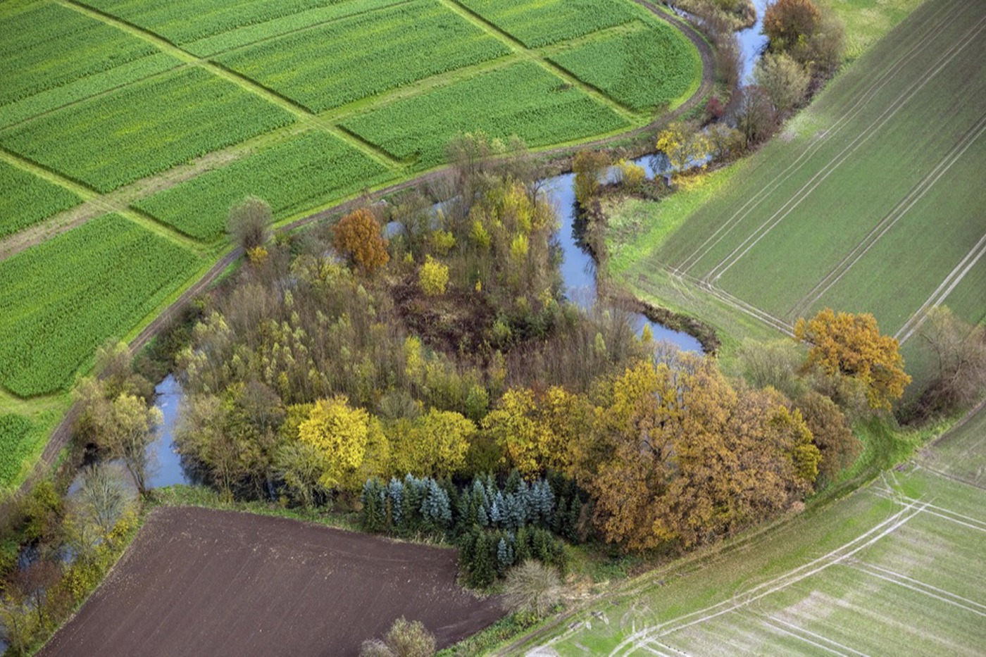 Im Mittelland ist die Natur nur noch kleinräumig vorhanden. Die Flächen reichen nicht, um die Biodiversität zu erhalten. © vario images