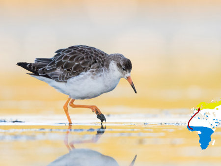Von Tankstelle zu Tankstelle