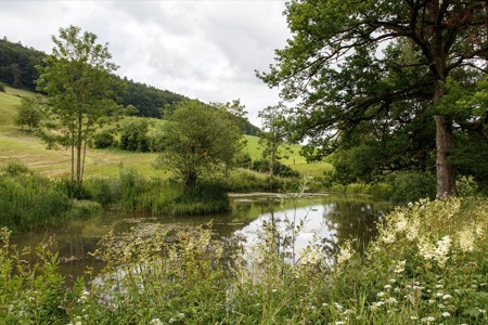 100 Hektaren, eine Vision