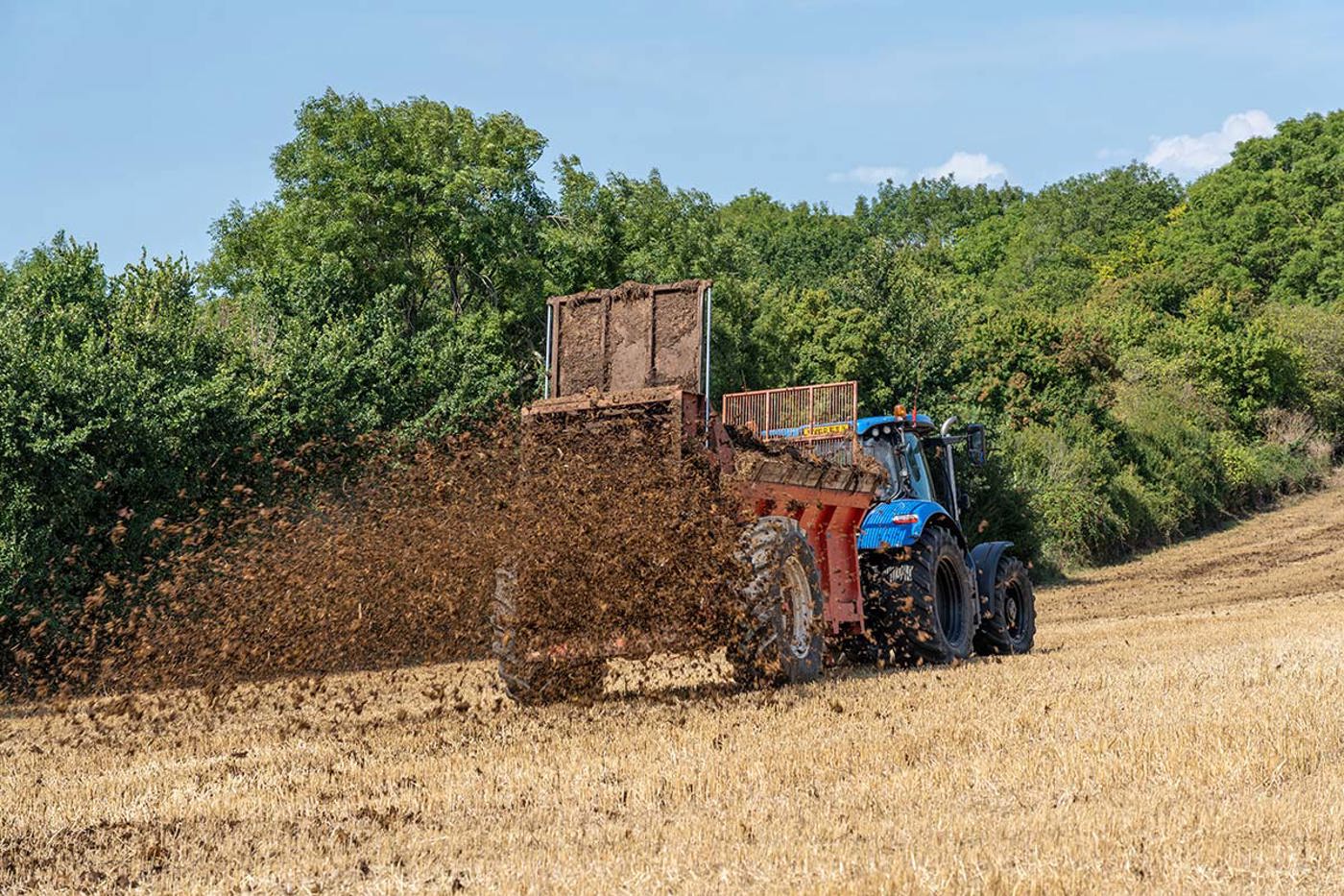 Der zu hohe Stickstoffeintrag ist ein wichtiger Grund für den Rückgang vieler Vogelarten. © Wirestock