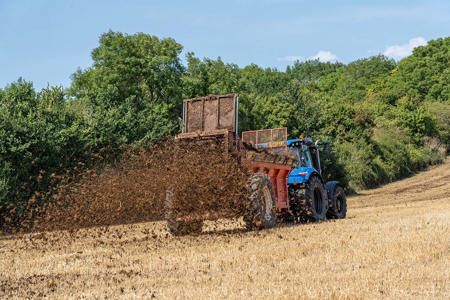 Zu viel Stickstoff beeinträchtigt auch die Vögel