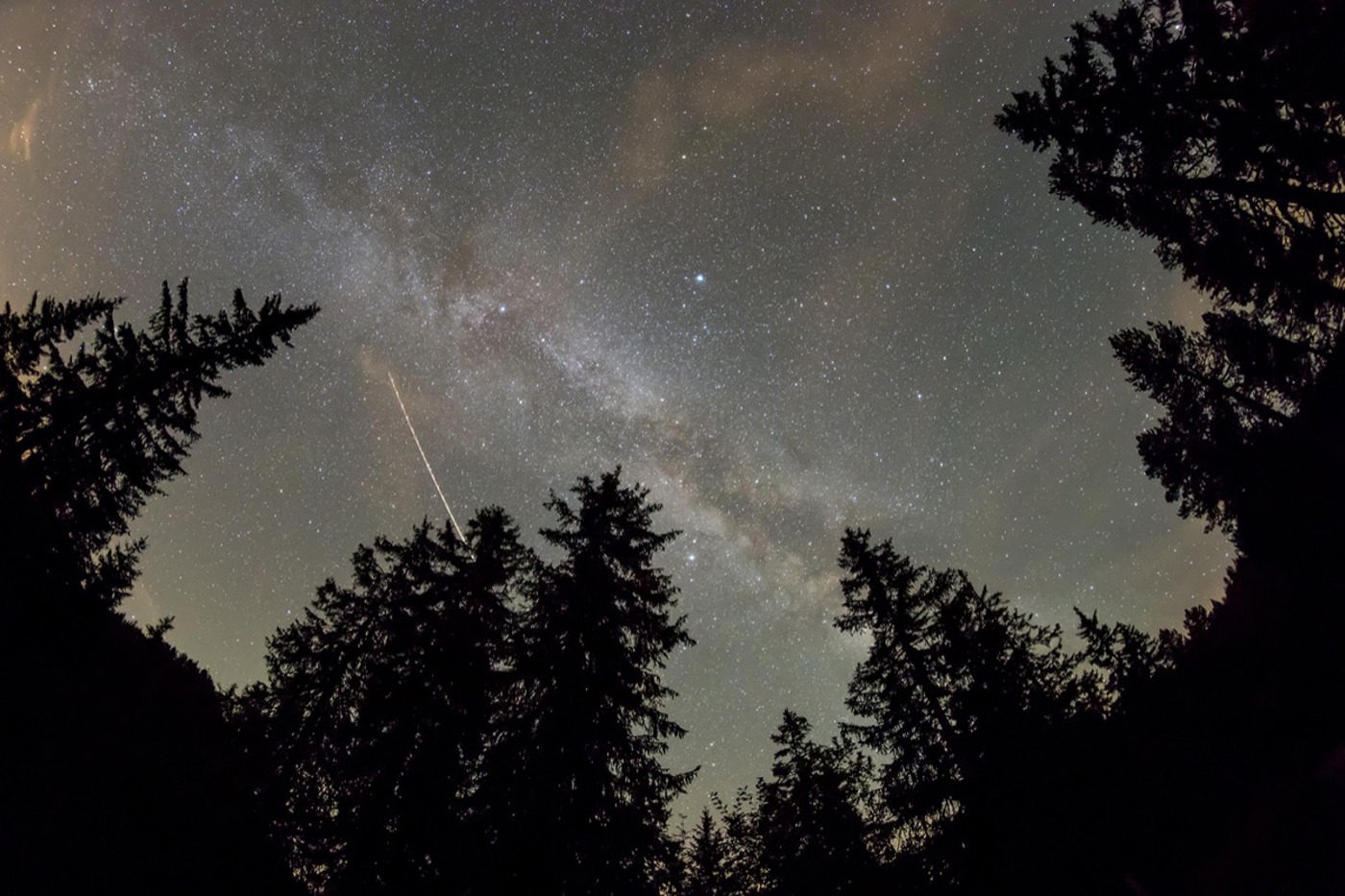 An vielen Stellen der Schweiz ist der nächtliche Sternenhimmel wegen künstlicher Lichtquellen kaum mehr sichtbar. Hier auf dem Glaubenbergpass OW ist die Welt für nachtaktive Tiere noch in Ordnung. © Julian Keiser/Alamy