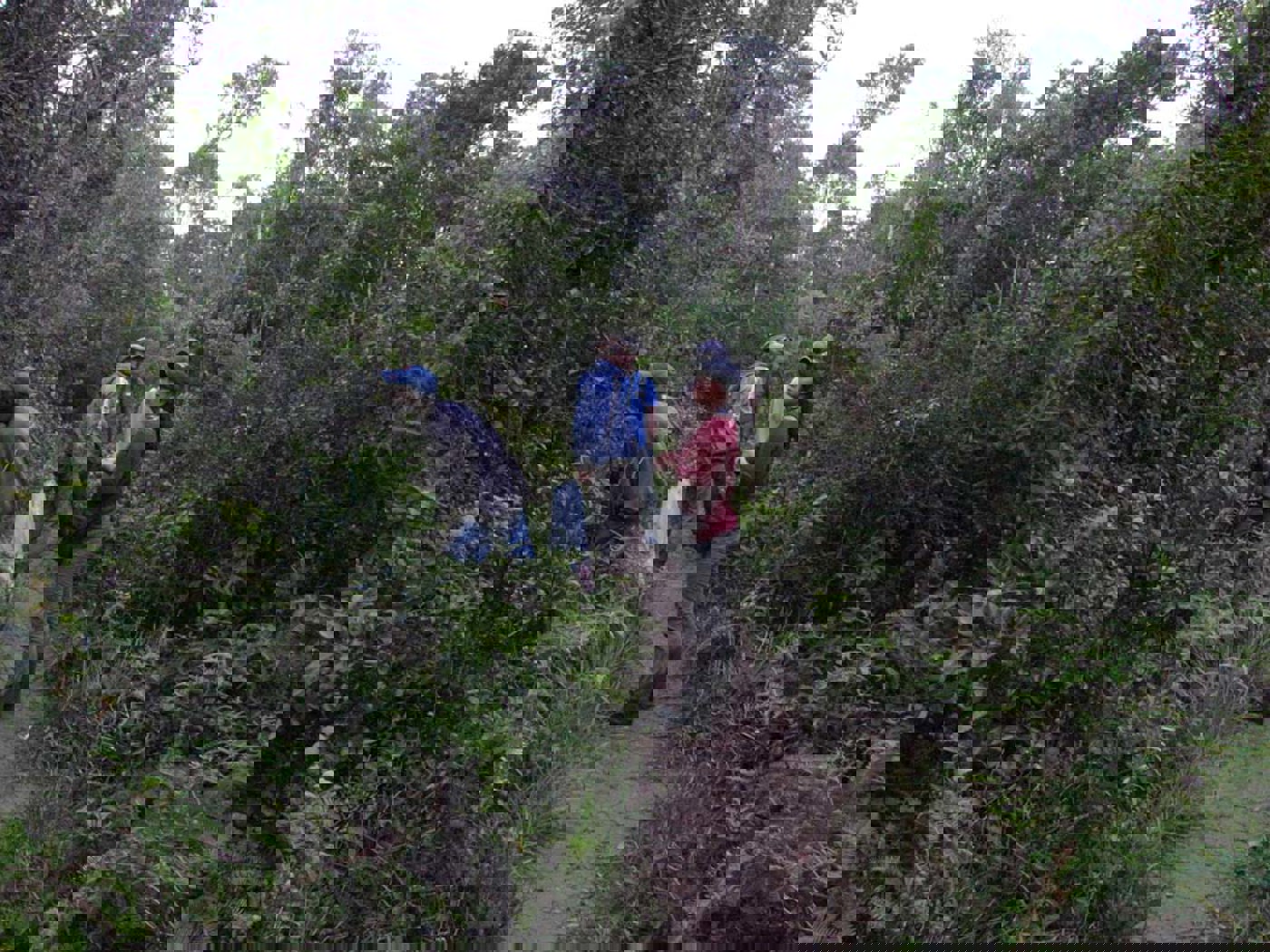 Forests Asity Forest Visit