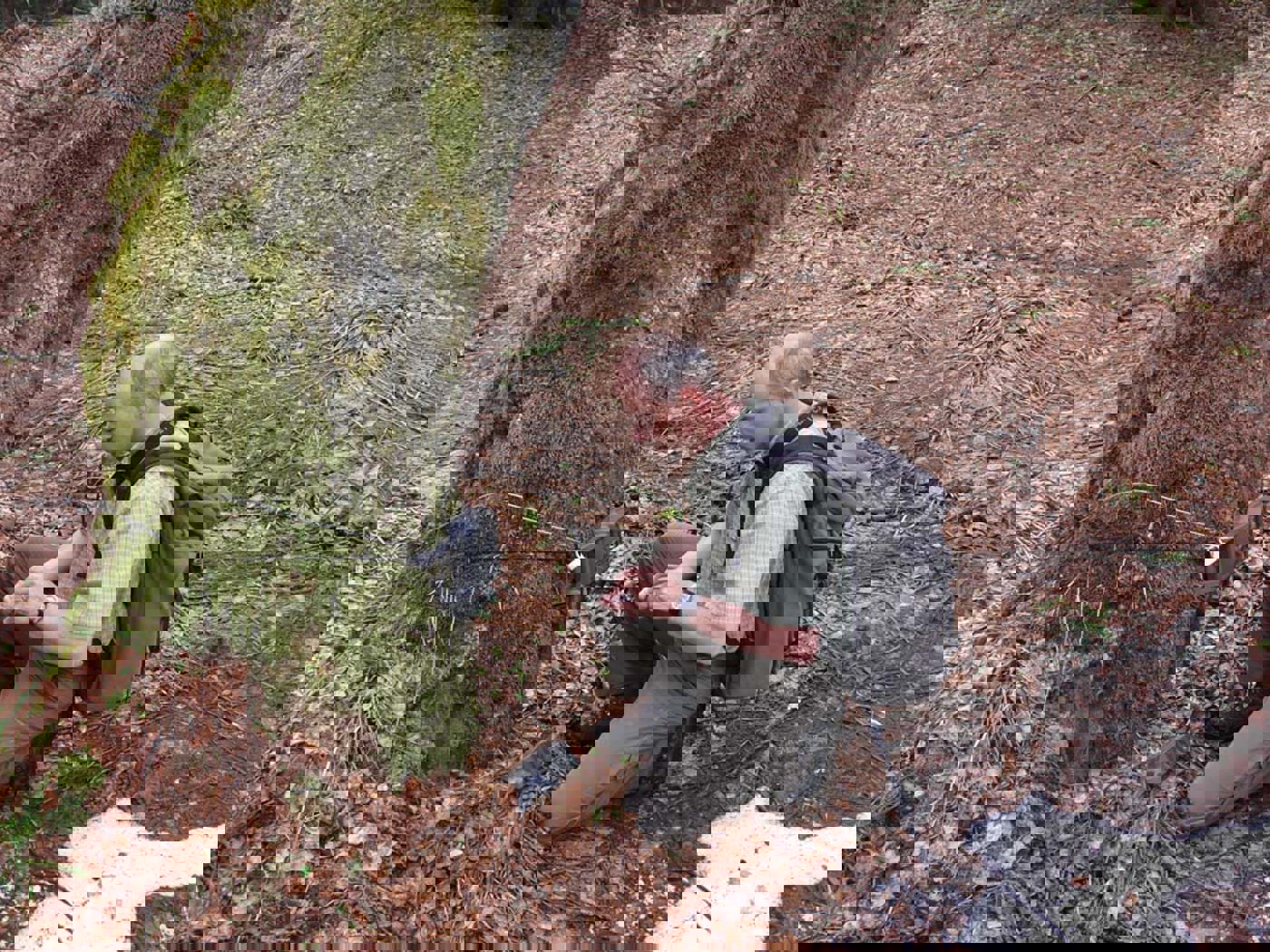 Auerhuhn Falle P1030999